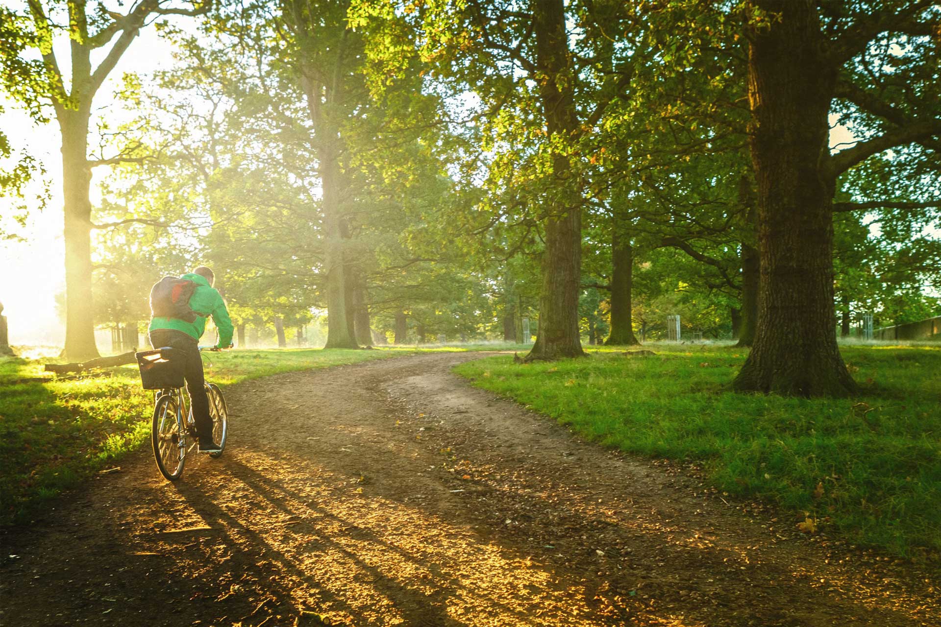 Cyclist cycling on dirt road